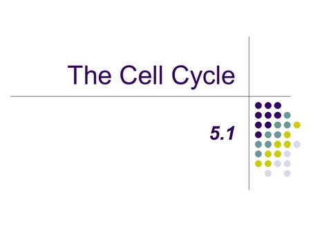 The Cell Cycle 5.1.