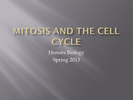 Honors Biology Spring 2013.  With your neighbor, discuss the following:  What does “The Cell Cycle” refer to?  What are the main stages?