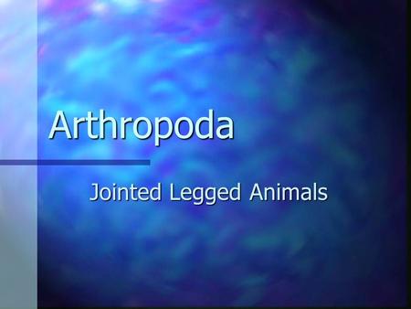 Arthropoda Jointed Legged Animals. Introduction More than a million artrhopods have been identified to date. More than a million artrhopods have been.