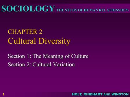 THE STUDY OF HUMAN RELATIONSHIPS SOCIOLOGY HOLT, RINEHART AND WINSTON 1 CHAPTER 2 Cultural Diversity Section 1: The Meaning of Culture Section 2: Cultural.