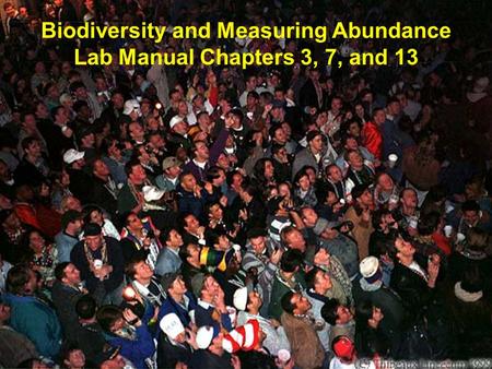 Biodiversity and Measuring Abundance Lab Manual Chapters 3, 7, and 13.