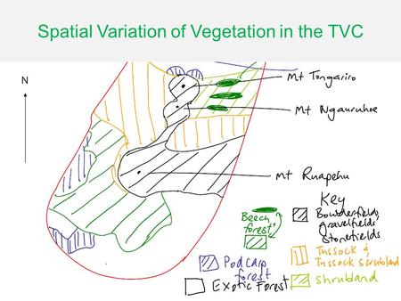 N Spatial Variation of Vegetation in the TVC. How do we explain why vegetation is found where it is in TVC? S oil C limate A ltitude R elief E ruptions.