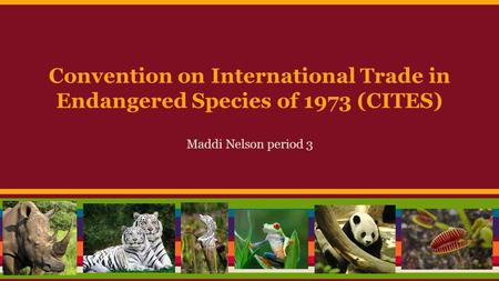 Convention on International Trade in Endangered Species of 1973 (CITES) Maddi Nelson period 3.