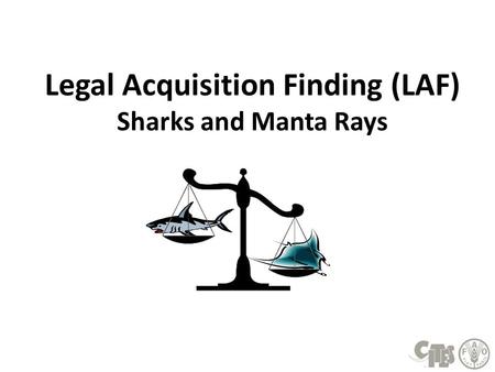Legal Acquisition Finding (LAF) Sharks and Manta Rays.