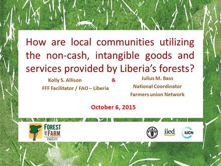How are local communities utilizing the non-cash, intangible goods and services provided by Liberia’s forests? Kolly S. Allison & FFF Facilitator / FAO.