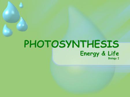 PHOTOSYNTHESIS Energy & Life Biology I. Energy & Life Where does the energy that living things need come from? Plants & other organisms are able to use.