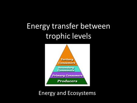 Energy transfer between trophic levels Energy and Ecosystems.