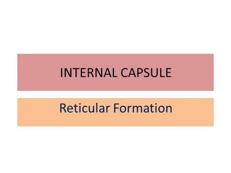 INTERNAL CAPSULE Reticular Formation.