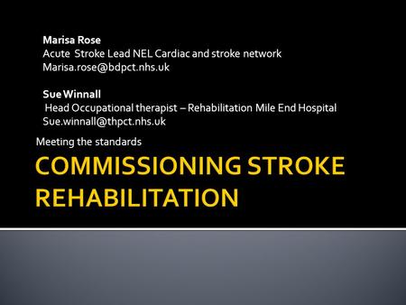 Meeting the standards Marisa Rose Acute Stroke Lead NEL Cardiac and stroke network Sue Winnall Head Occupational therapist – Rehabilitation.