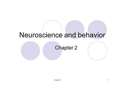 Chapter 21 Neuroscience and behavior Chapter 2. chapter 22 Biological psychology Branch of psychology concern with the links between biology and behavior.