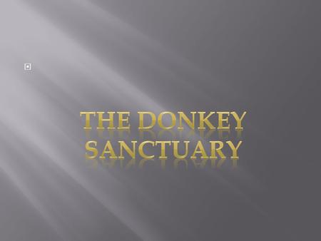 . What they do. The Donkey Sanctuary in Liscaroll, Co. Cork is owned and run by Paddy Barrett and his family. They take in donkeys that have no home.