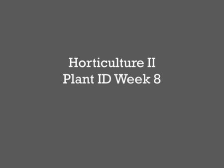 Horticulture II Plant ID Week 8