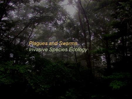 Plagues and Swarms Invasive Species Ecology.