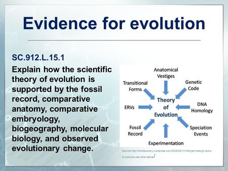 Evidence for evolution SC.912.L.15.1 Explain how the scientific theory of evolution is supported by the fossil record, comparative anatomy, comparative.