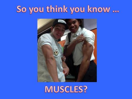 So you think you know … MUSCLES?.