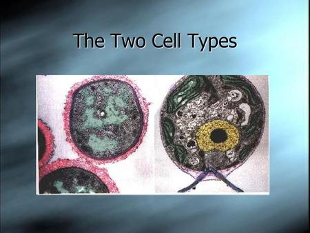 The Two Cell Types. There are two basic cell types:  Prokaryotic cells are simple cells Prokaryotic cells  Eukaryotic cells are more complex Eukaryotic.