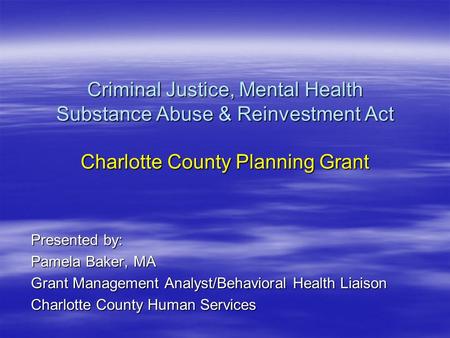Criminal Justice, Mental Health Substance Abuse & Reinvestment Act Charlotte County Planning Grant Presented by: Pamela Baker, MA Grant Management Analyst/Behavioral.