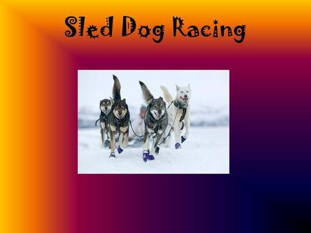 Sled Dog Racing. Iditarod A race over 1150 miles in 10 to 17days Has been known as the “Last Great Race On Earth” and has won worldwide interest. Temperatures.