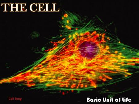 Basic Unit of Life Cell Song. Principles of Cell Theory 1. Cells are basic units of life 2. Biogenesis - All Cells arise from other cells 3. Energy flow.