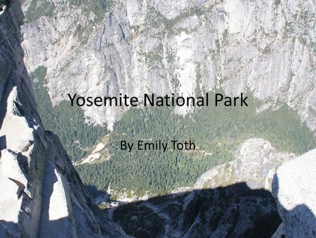 Yosemite National Park By Emily Toth. Biome At higher elevations, fewer wildlife species tend to be found due to the lower complexity of the forest Above.