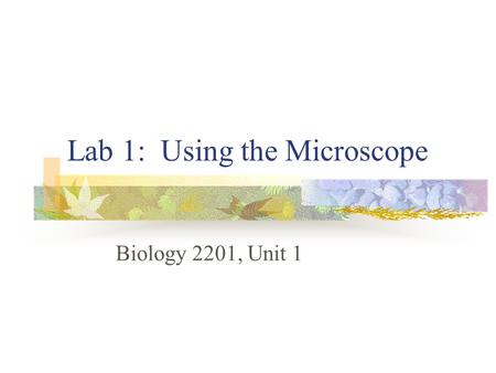 Lab 1: Using the Microscope