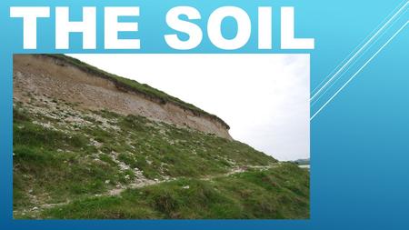 THE SOIL. Soils are complex mixtures of minerals, water, air, organic matter.