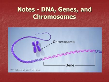 Notes - DNA, Genes, and Chromosomes. Cells and DNA All organisms are made of one or more cells All organisms are made of one or more cells With few exceptions,