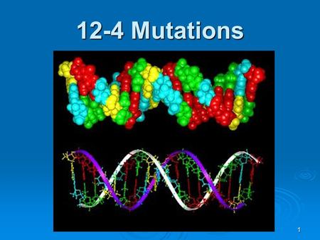 1 12-4 Mutations. 2  Mutation = change in genetic material  Gene mutation = changes in a single gene  Chromosomal mutation = changes in whole chromosomes.