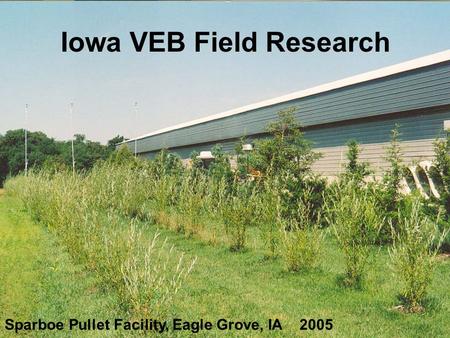 Sparboe Pullet Facility, Eagle Grove, IA 2005 Iowa VEB Field Research.
