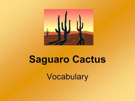 Saguaro Cactus Vocabulary. spiny Part of Speech: adjective Syllables: 2 (spi/ny) Definition: covered with thorns or needles; syn. sharp A porcupine’s.