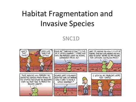 Habitat Fragmentation and Invasive Species