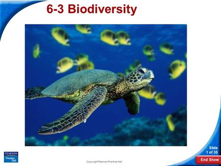 End Show Slide 1 of 35 Copyright Pearson Prentice Hall 6-3 Biodiversity.