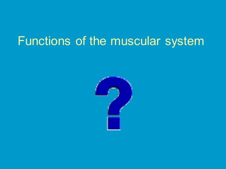 Functions of the muscular system. Stabilize joints with their TENDONS (connect muscle to bone) Relaxes and contracts, and provides force to move your.