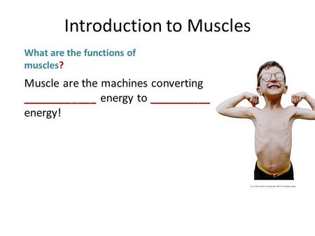 Muscle are the machines converting ____________ energy to __________ energy! What are the functions of muscles?
