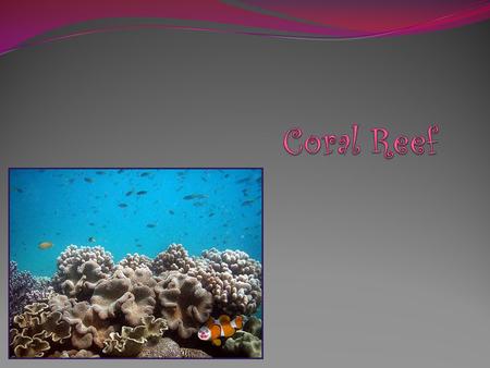 Coral Reefs include the highest concentrations of marine species to be found in any of Earth’s aquatic ecosystems.