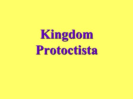 Kingdom Protoctista.
