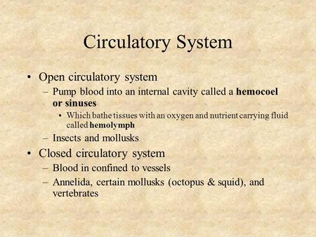 Circulatory System Open circulatory system –Pump blood into an internal cavity called a hemocoel or sinuses Which bathe tissues with an oxygen and nutrient.