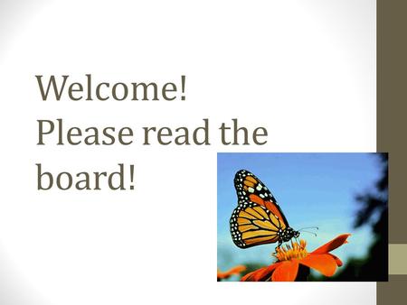 Welcome! Please read the board!. Monarchs! Are these worth protecting?