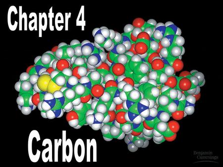 Carbon and the Molecular Diversity of Life Biological macromolecules – carbohydrates, protein, lipids, and nucleic acids (DNA & RNA) - are all composed.