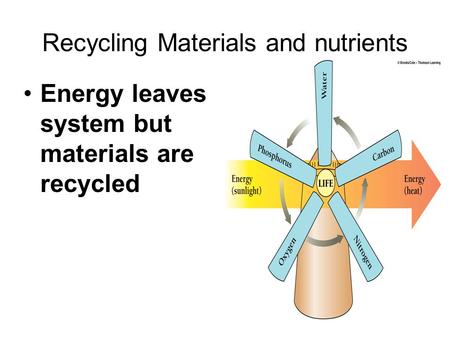 Recycling Materials and nutrients Energy leaves system but materials are recycled.