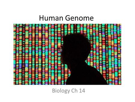 Human Genome Biology Ch 14.