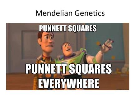Mendelian Genetics. By the end of this class you should understand: The Mendelian model of genetics and Punnett squares How the structure and function.
