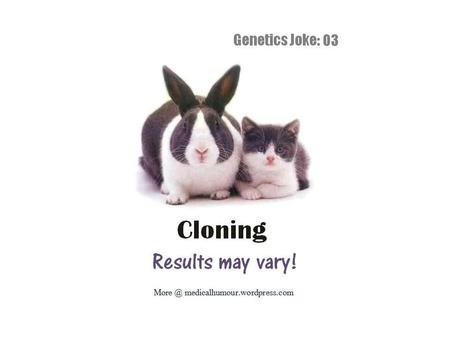Genetic Variation Vocabulary You Should Know: Dominant Recessive Homozygous Heterozygous Genotype Phenotype Monohybrid Cross (punnett squares) Bio book.