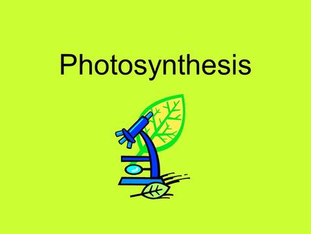 Photosynthesis. Two main groups of living things: Plants Animals In science we call them…. Autotrophs Heterotrophs.