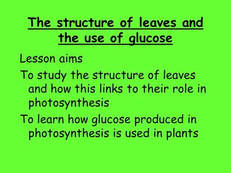 The structure of leaves and the use of glucose Lesson aims To study the structure of leaves and how this links to their role in photosynthesis To learn.