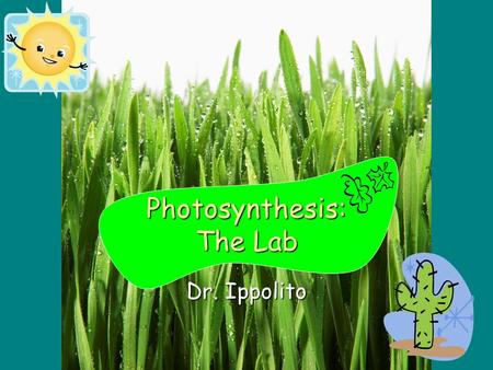 Photosynthesis: The Lab Dr. Ippolito. Background.