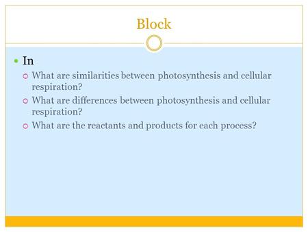 Block In What are similarities between photosynthesis and cellular respiration? What are differences between photosynthesis and cellular respiration? What.