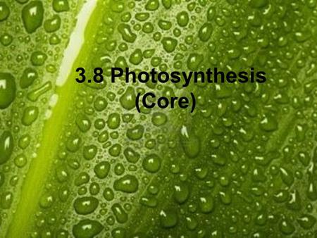 3.8 Photosynthesis (Core). 3.8.1 State that photosynthesis involves the conversion of light energy into chemical energy. 3.8.2 State that light from the.