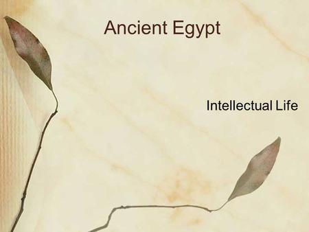 Ancient Egypt Intellectual Life. Egyptian Creation Story Believed that the earth was created when a hill emerged from the waters of chaos. This made sense.