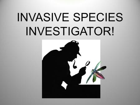 INVASIVE SPECIES INVESTIGATOR!. WHAT IS A NATIVE SPECIES? Every kind of animal, plant, or micro- organism has a home where it has existed for thousands.
